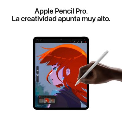 Apple iPad Pro 11 2024 5. Wifi/M4/ 256Gb/ Negro Espacial