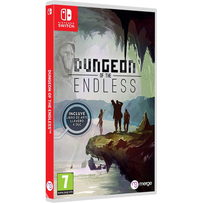 Dungeons des Endless Switch