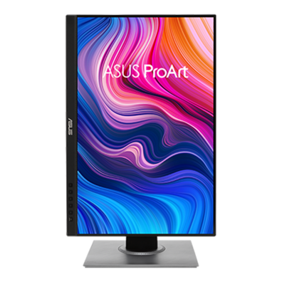 Monitor Asus ProArt PA248QV LED 24.1 '' Negro