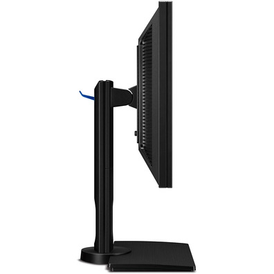 Überwachung BenQ BL2420PT 23.8 '' Wide Quad HD LED Negro