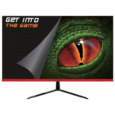 Überwachung von Gaming-LED XGM24F + Flat 23.8 ''