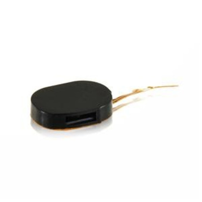 Reparatur Buzzer Ringer for iPhone 2G