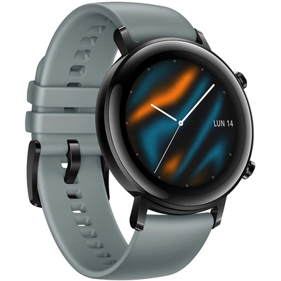 Smartwatch Huawei GT2 Sport 42 mm Blau Grau