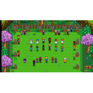 Stardew Valley Switch