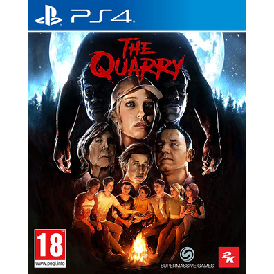 Der Quarry PS4