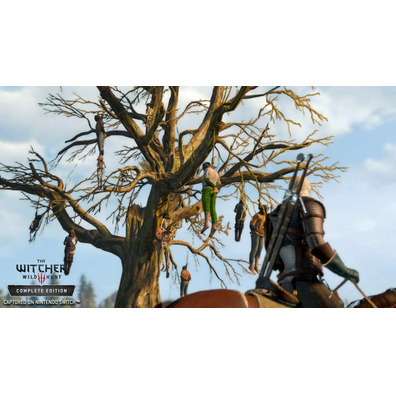 The Witcher 3: Wild Hunt-Schalter