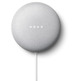 Sprecher von Google Nest Mini 2. Generation Kreide