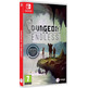 Dungeons des Endless Switch