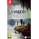 Dungeons des Endless Switch