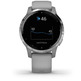 Smartwatch Garmin Vivoactive-Sport-4S Silber, Grau