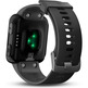 Smartwatch Garming Forerunner 30 Schiefer Grau GPS